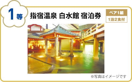 指宿白水宿泊券